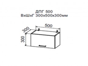 Шкаф верхний ДПГ500 горизонтальный в Карталах - kartaly.магазин96.com | фото