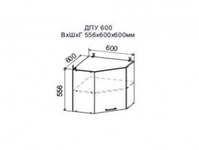 Шкаф верхний ДПУ600 угловой в Карталах - kartaly.магазин96.com | фото